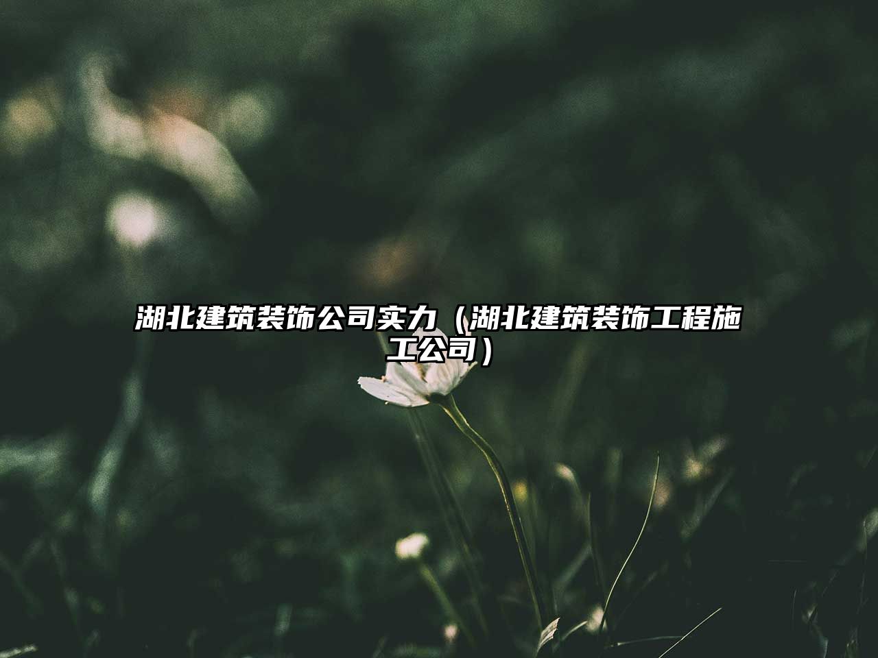 湖北建筑裝飾公司實(shí)力（湖北建筑裝飾工程施工公司）