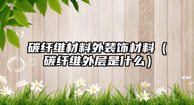 碳纖維材料外裝飾材料（碳纖維外層是什么）