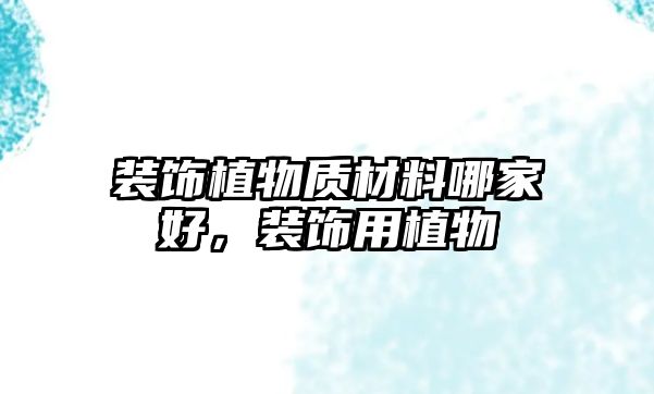 裝飾植物質(zhì)材料哪家好，裝飾用植物